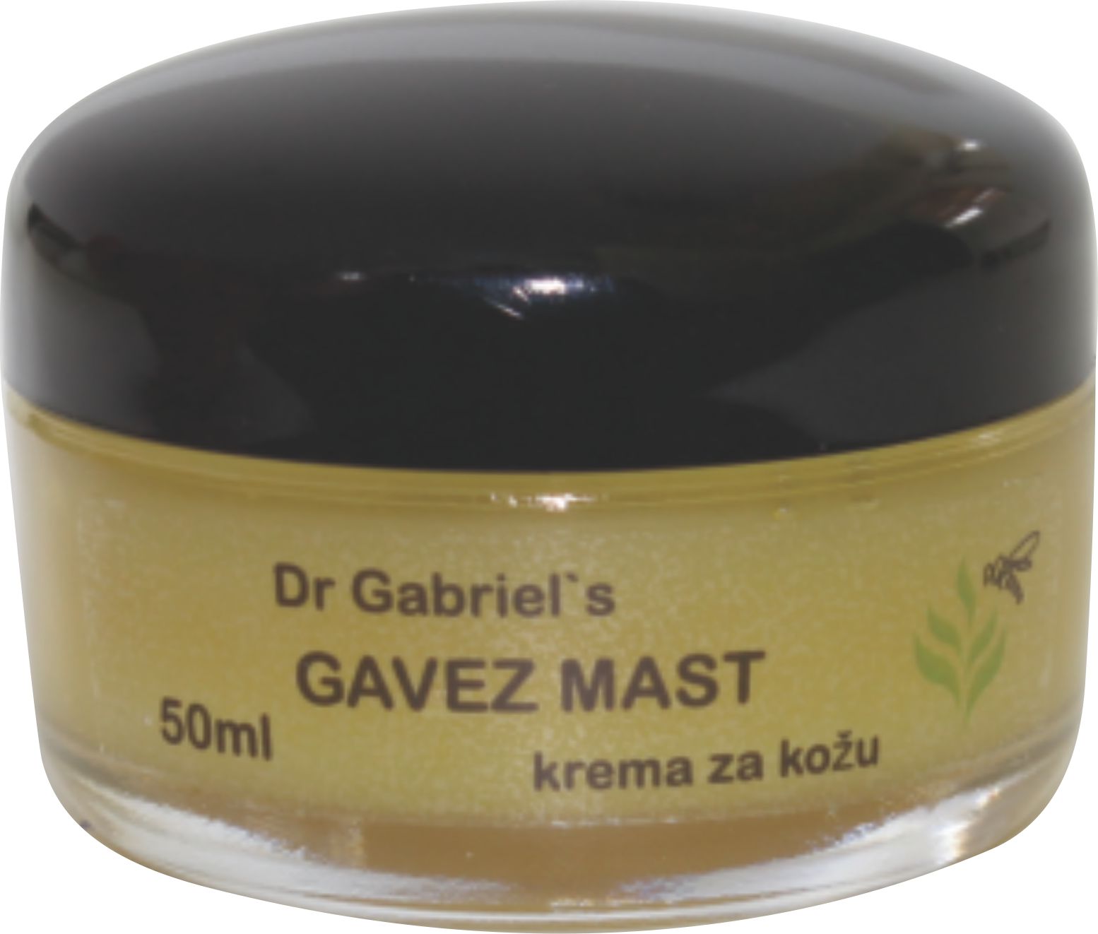gavez mast dr gabriel s tajne zdravlja
