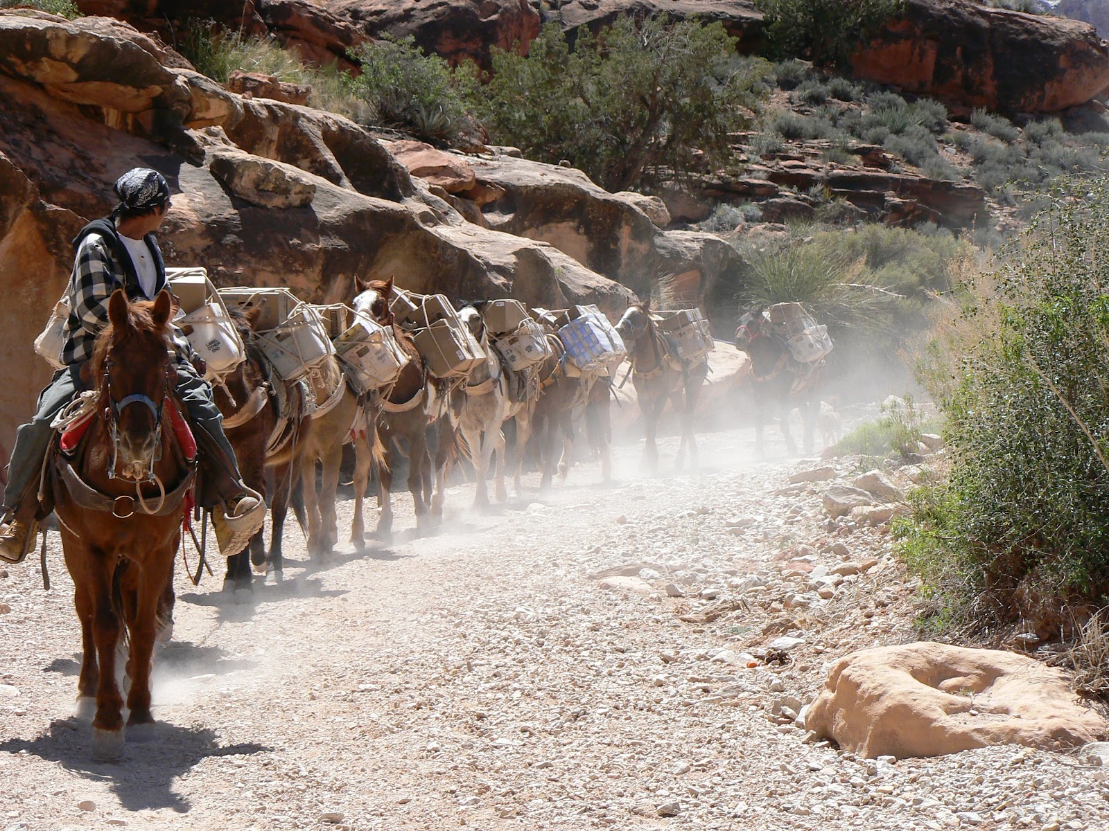 Finding Arizona Havasupai People of the Blue Green Water