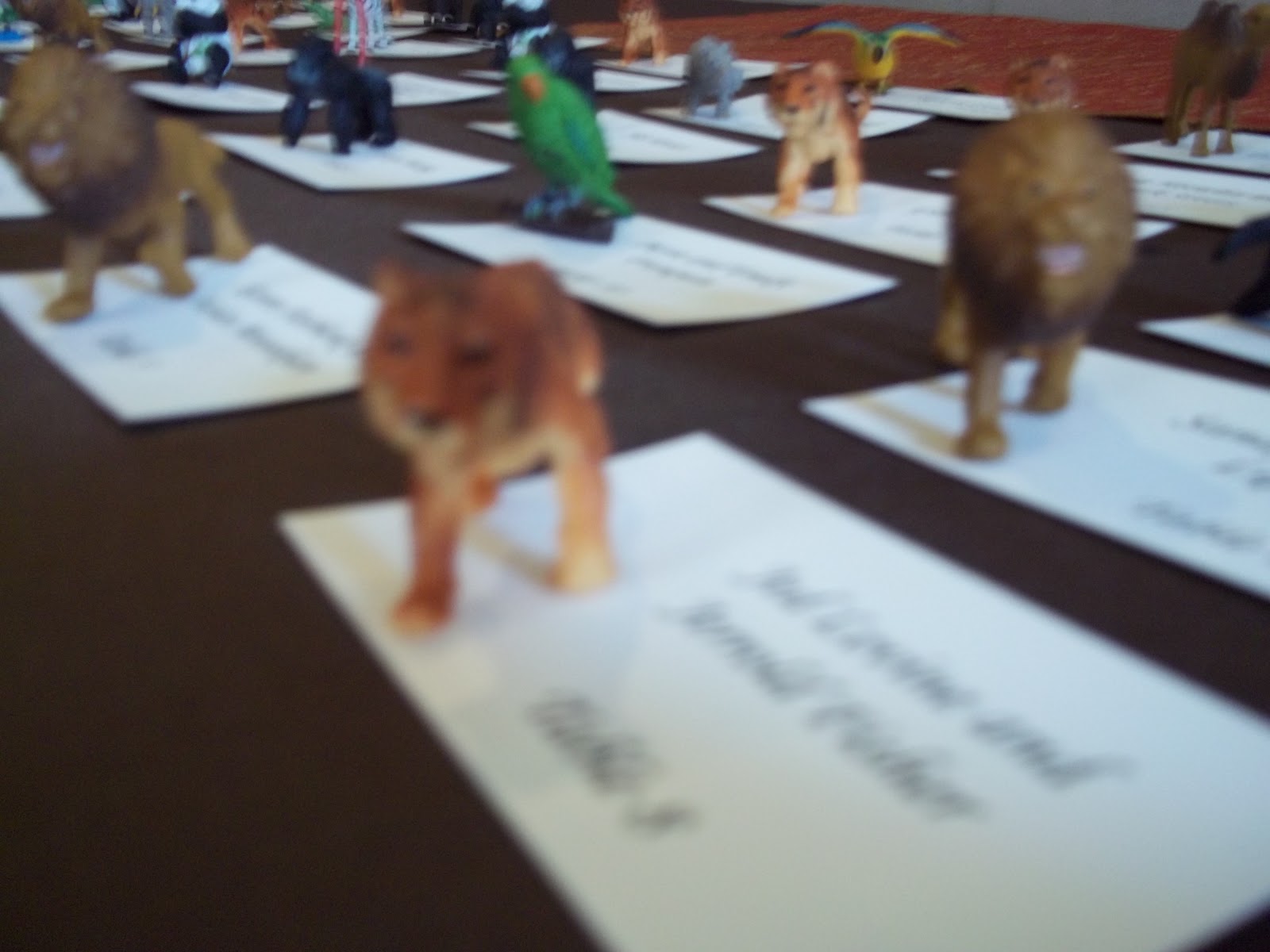 New York Hort Couture Bronx Zoo Wedding For A Veterinarian!