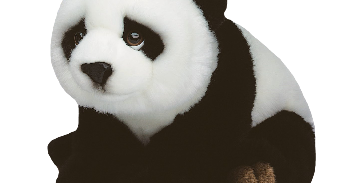 ositos de peluche png