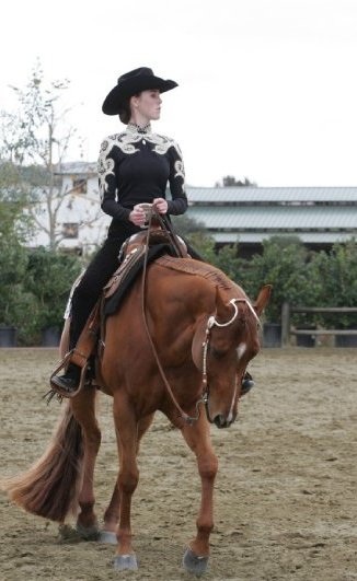 On-line Horse Training