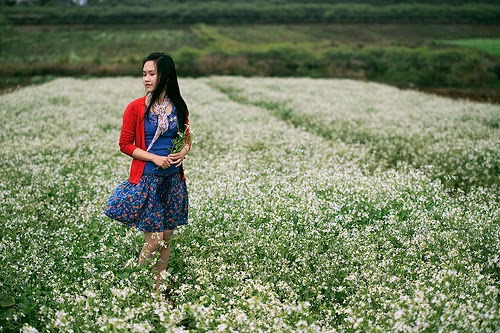 Nghỉ tết dương lịch nên đi đâu?