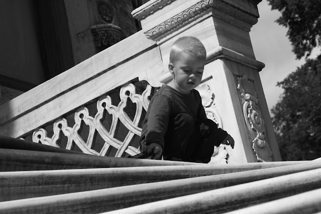 Anton driving cars off the palace steps