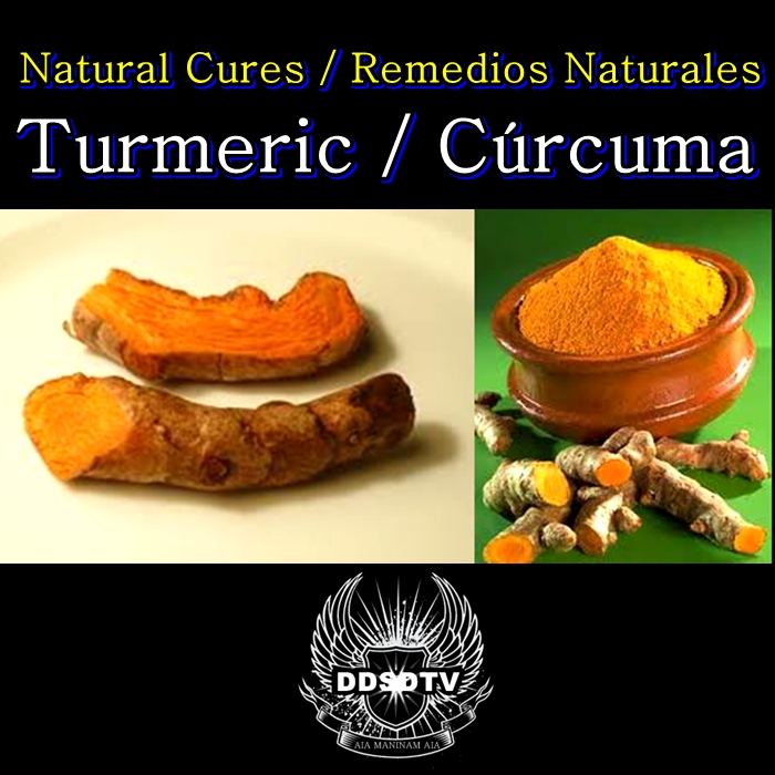 Álbumes 103+ Foto Que Es Turmeric Powder En Español Alta Definición
