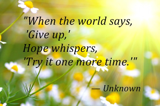 Pause Dream Enjoy: Weight Watchers Wednesday