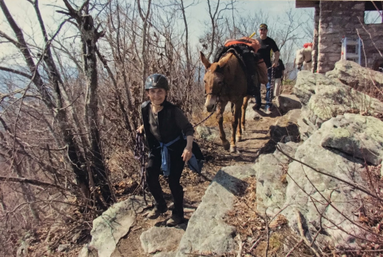 Wandering Virginia Kennedy Peak/Massanutten Mountain, November 16, 2014