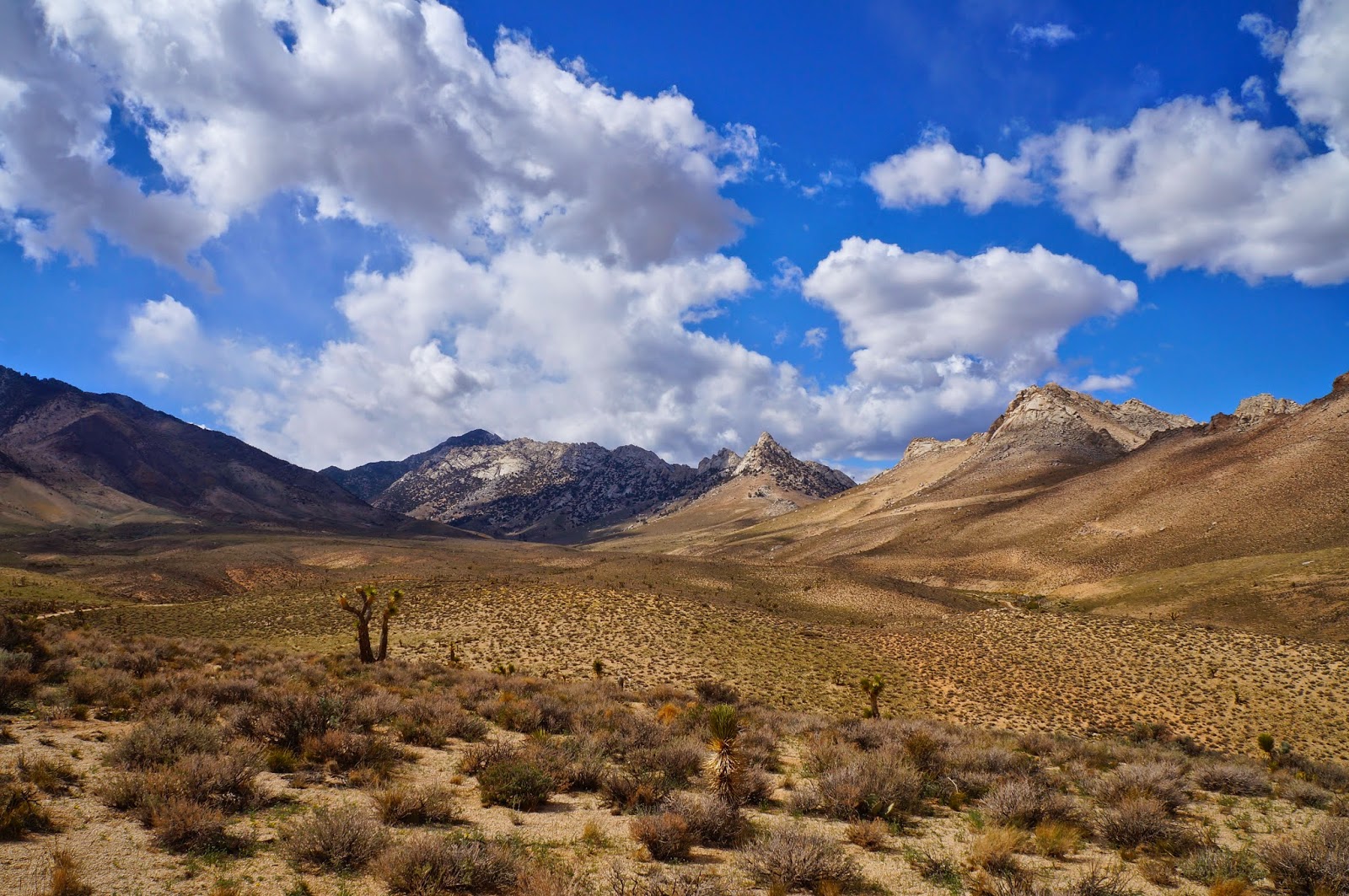 David Stillman Indian Wells Canyon