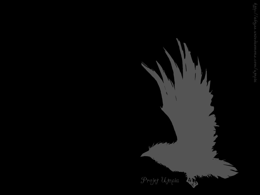 black wallpaper black wallpaper