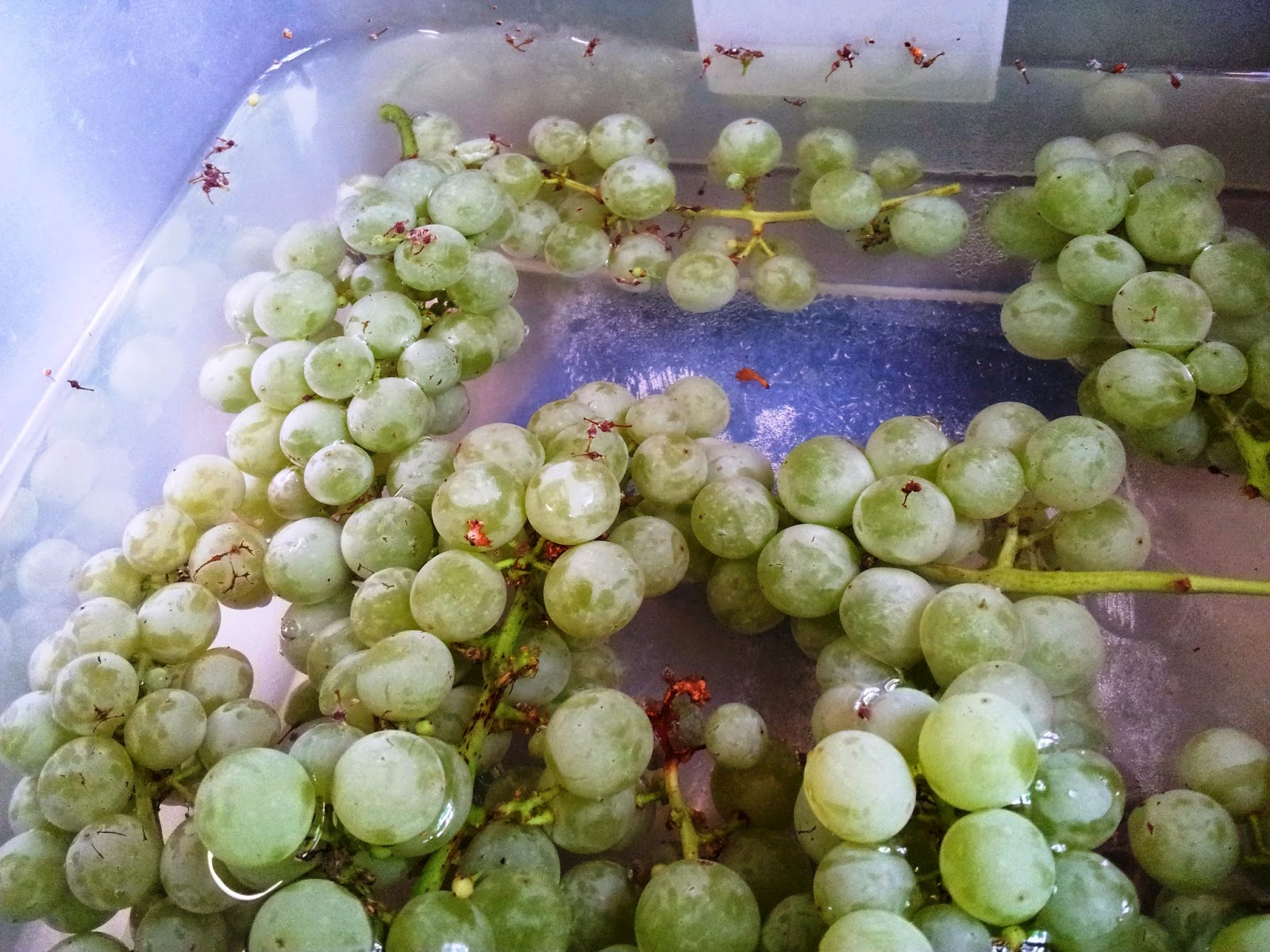 Organic Granny Recipe for Homemade GingerGrape Jam Easy Peasy