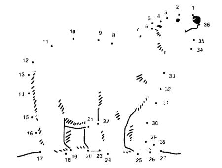 design practise: what is a line