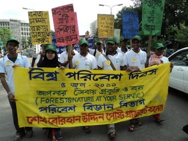 Rally of World Environment Day 2011