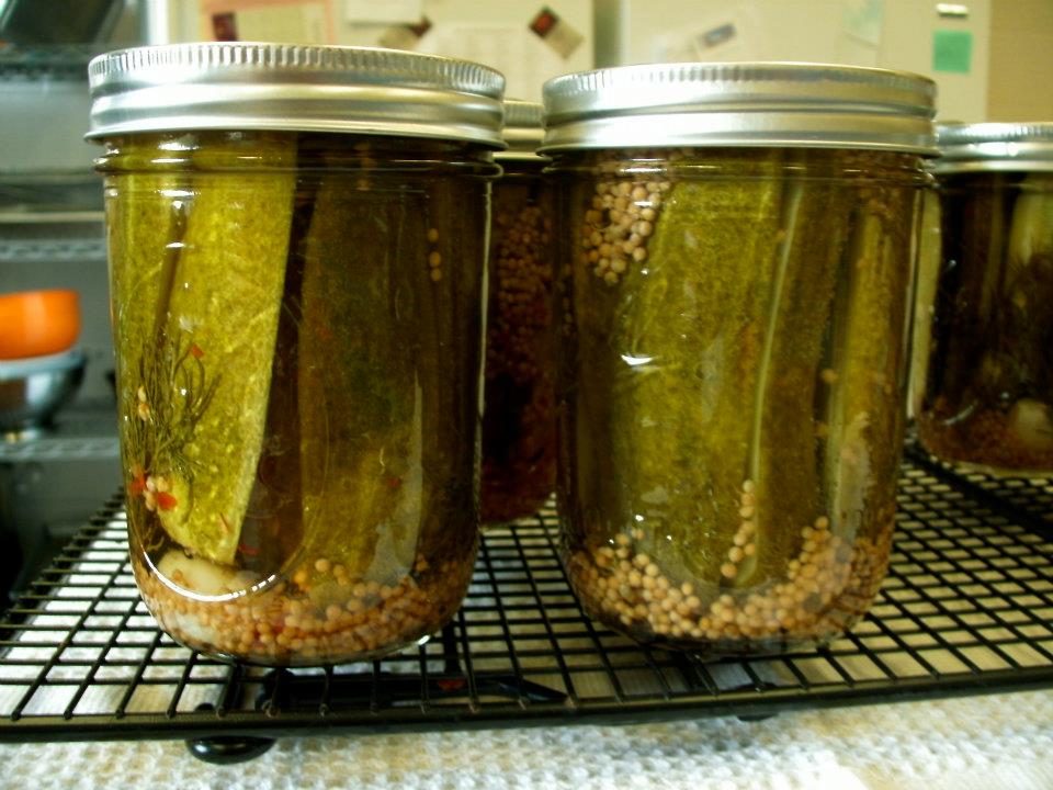 The Blueberry Files BBF Preserves Dill Pickles