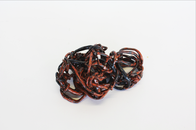 rencontre charlie winston