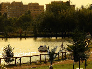 Donde está el Parque Intercomunal de la Reina de Santiago de Chile 131