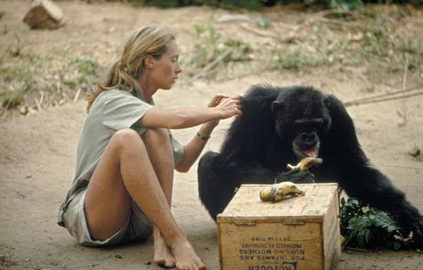 s e x s gallery nude moms and chimps