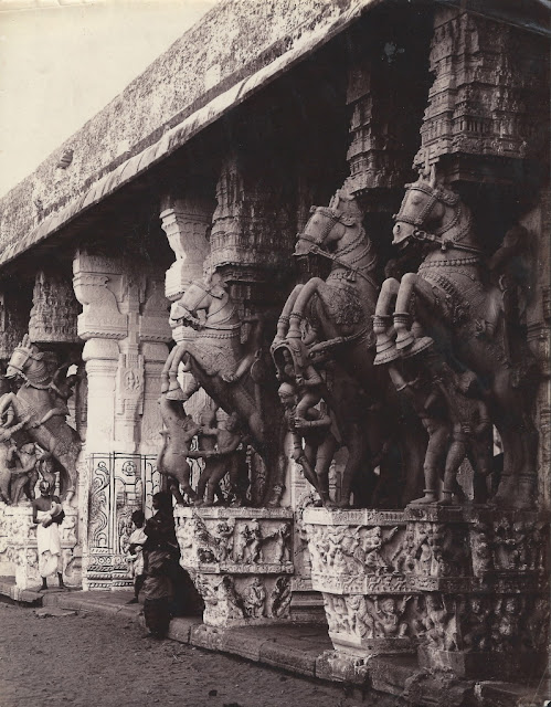 Hall+or+1000+pillars+with+sculptures+of+riding+horses+in+Sri+Ranganathaswamy+Temple+-+Srirangam,+Tamil+Nadu+1890's+b