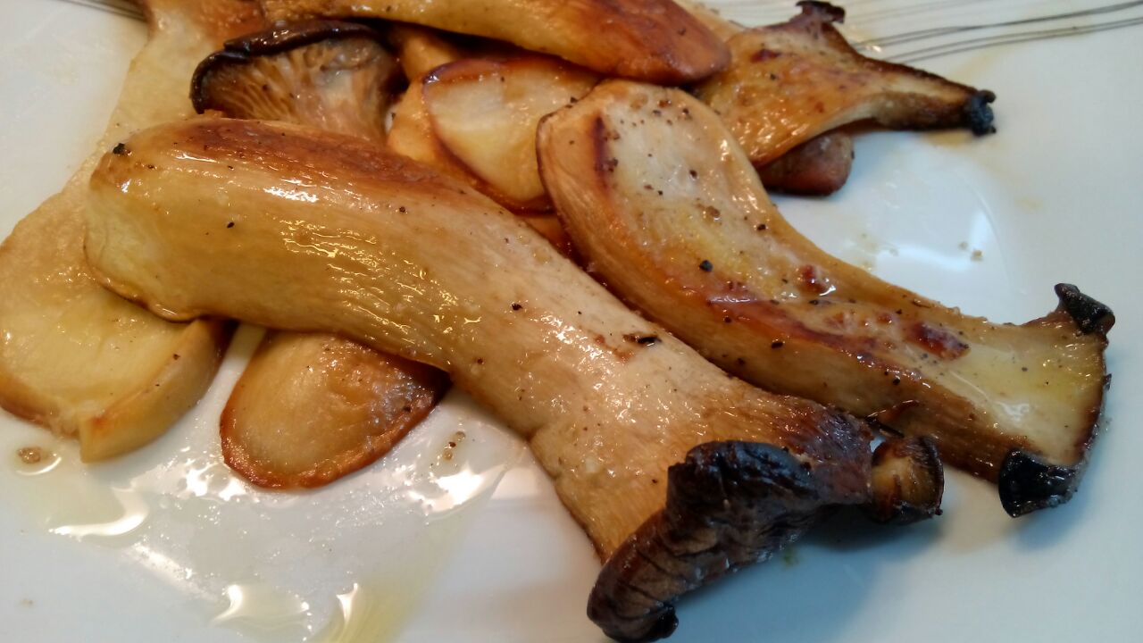 Receita do meu prato Cogumelos eryngii grelhados