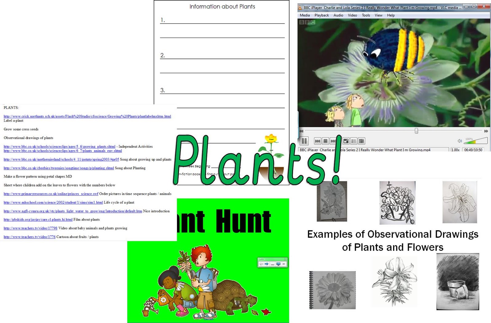 new year key stage 1 plants and growth eyfs key stage one year one and year two new year key stage 1 plants and growth eyfs key stage one year one and year two