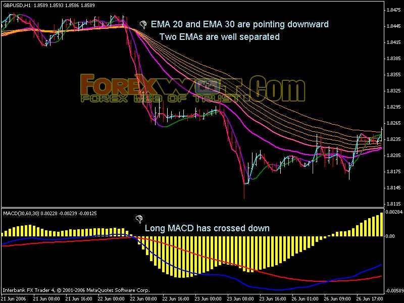 ema forex trend