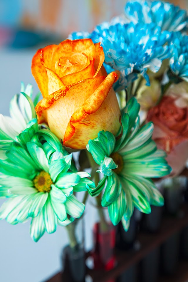 Miniature Rhino Bright & Colorful Dyed Flowers