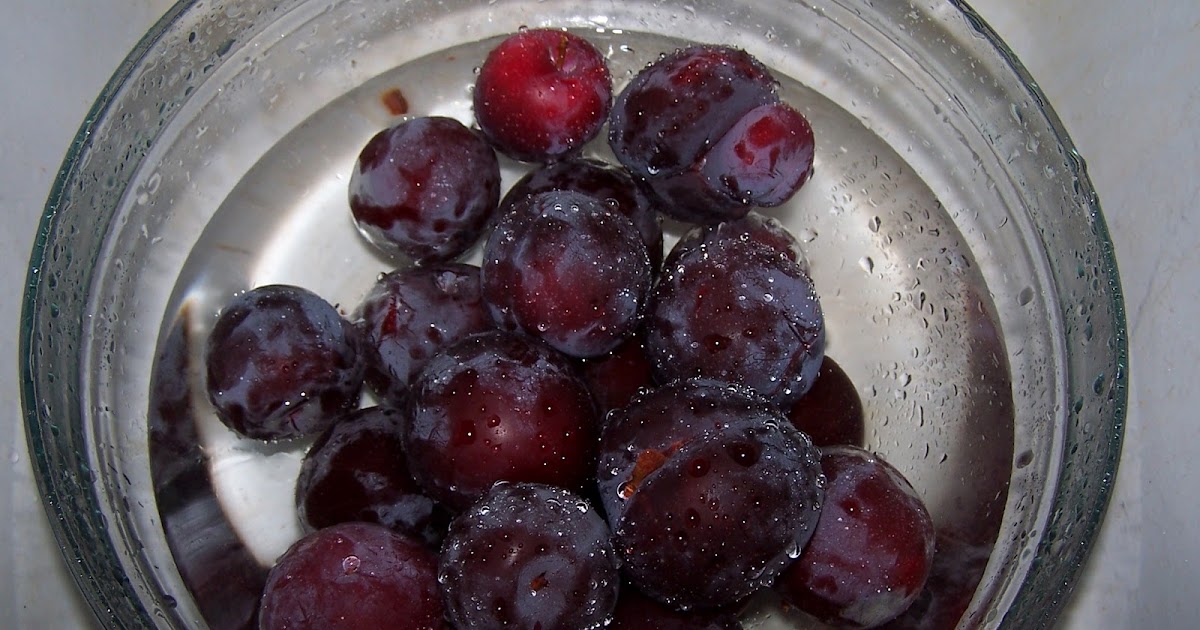 Simple Living Basics So Many Plums!