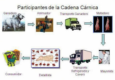 CADENA CARNICA