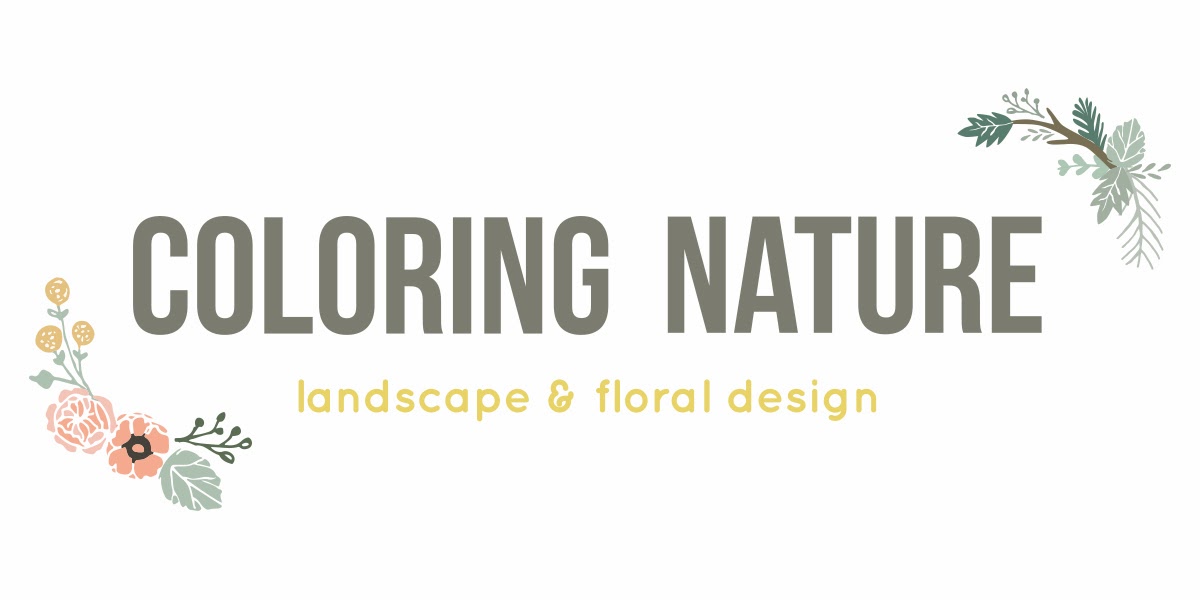 Coloring Nature - A Landscape Company
