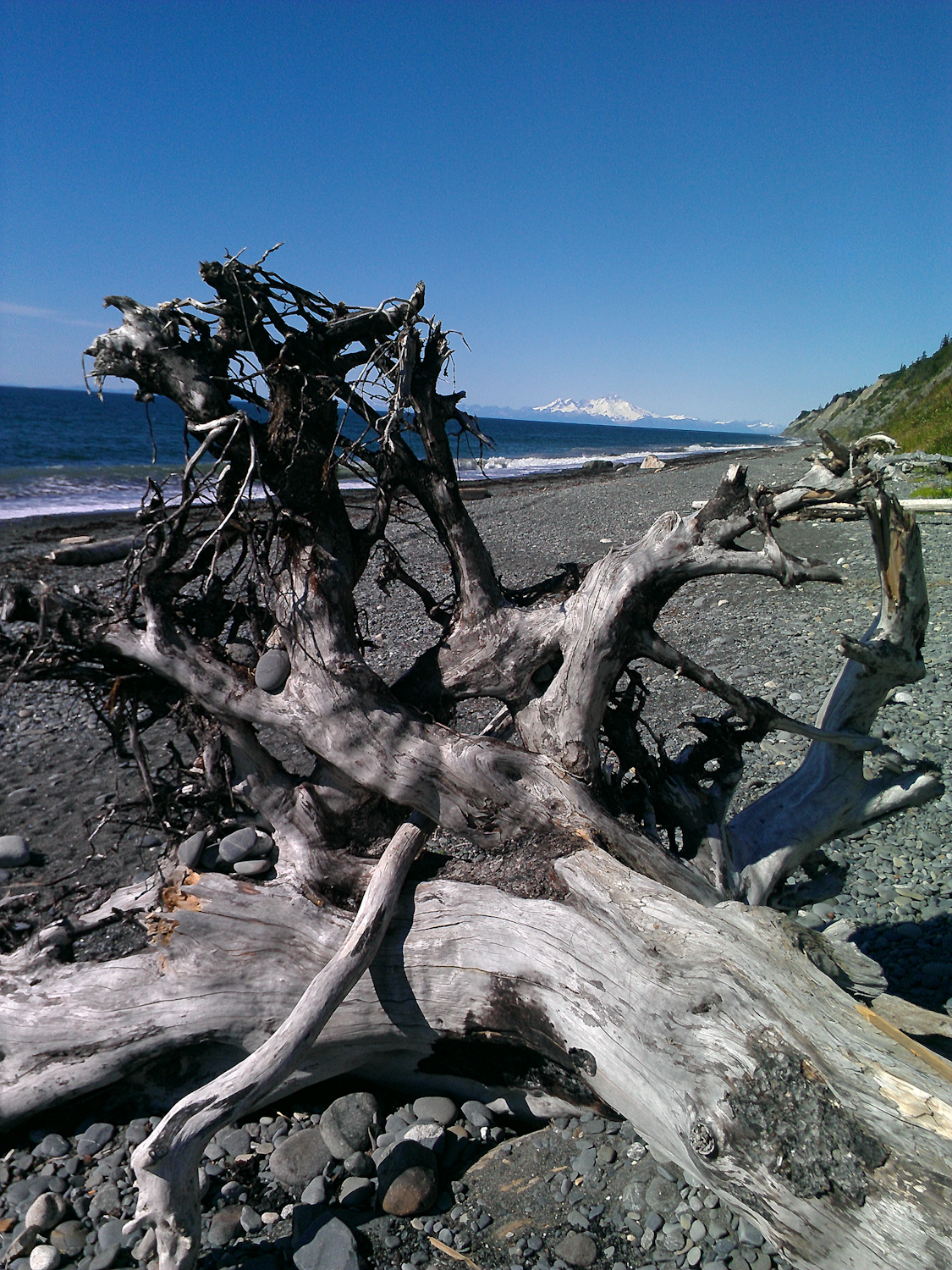 Oh, The Places We Went Homer, AK Activities