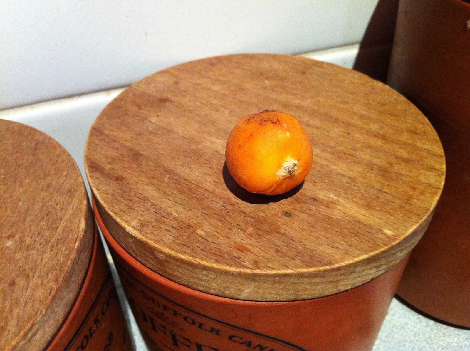 is palm tree fruit poisonous to dogs