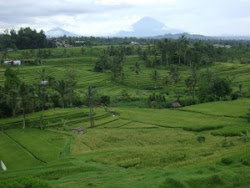 pemandangan