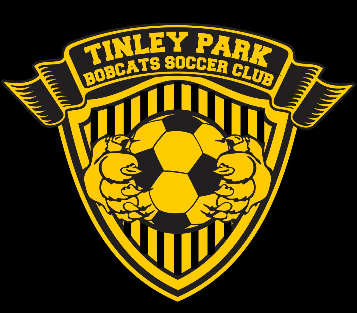 Design Soccer
