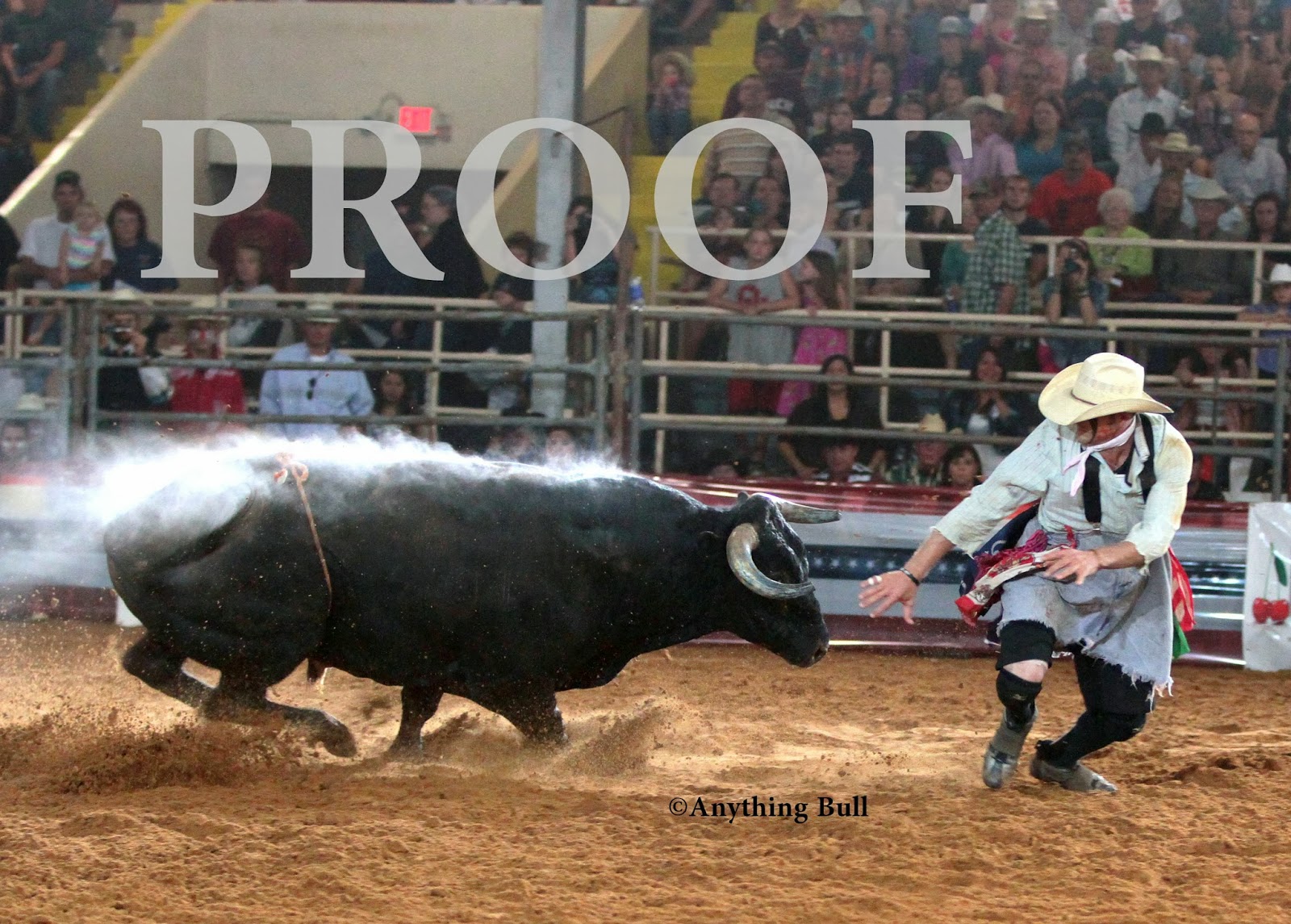 Anything Bull or Rusty: Saturday Round 4 - Clint Hopping