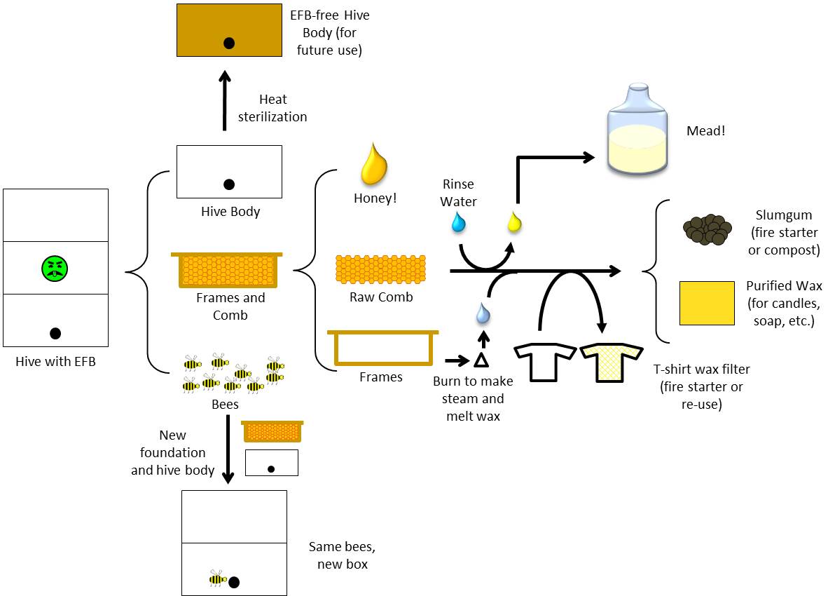 The Homestead Laboratory Bee Reset Honey, Mead, and Sterilizing the