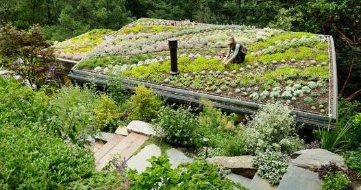 Fotos de Jardin: Jardines de casas campestres