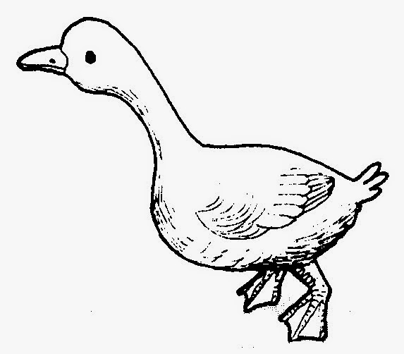 Dunia Sekolah Gambar Hitam Putih (Drawing) Binatang