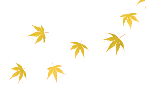 листья летят