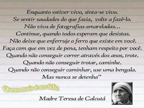 Processo De Beatificação Do Padre Léo Quais São Os Próximos Passos Espiritualidade Torreleste Olhares Sobre O Mundo