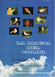 La Magia del Color