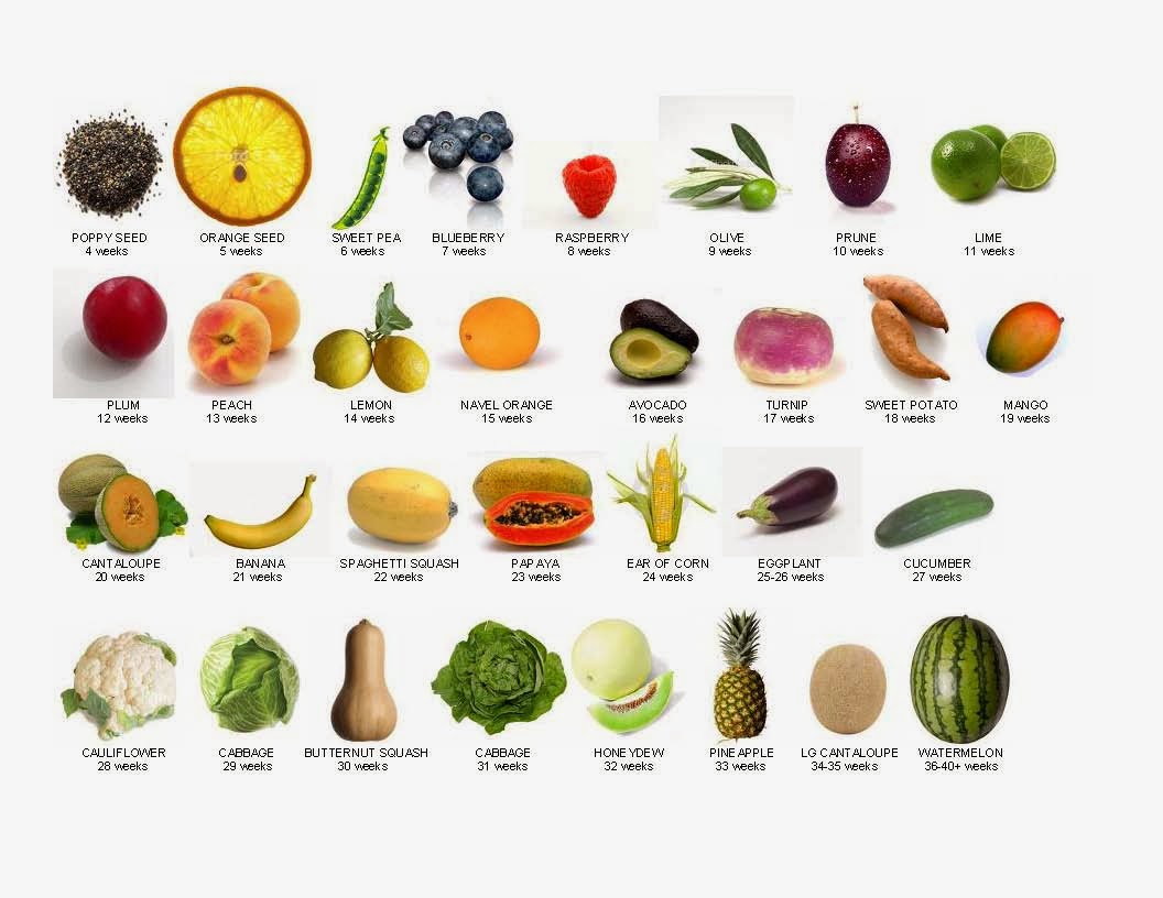 Baby Size Chart Fruit