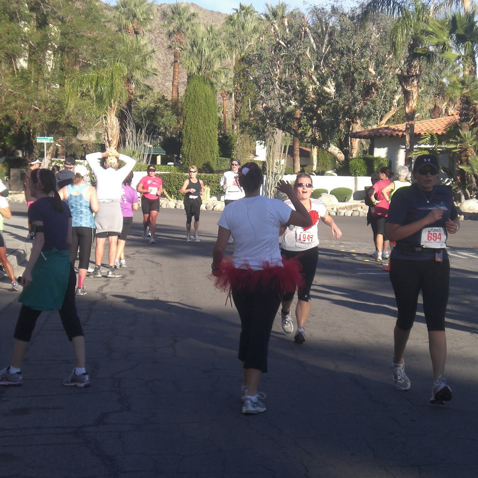 ruNNiNg oN purpose Palm Spring half Marathon Relay