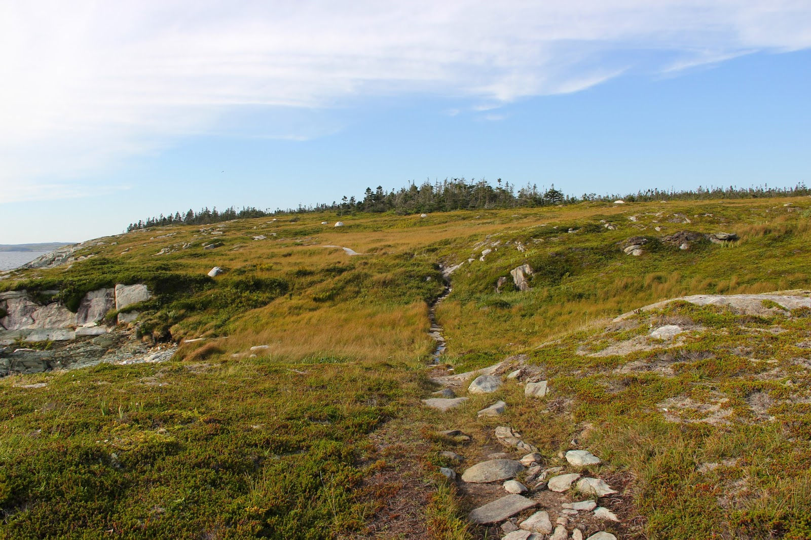 Maria Doering's Art & Adventures Exploring Nova Scotia Clam Harbour