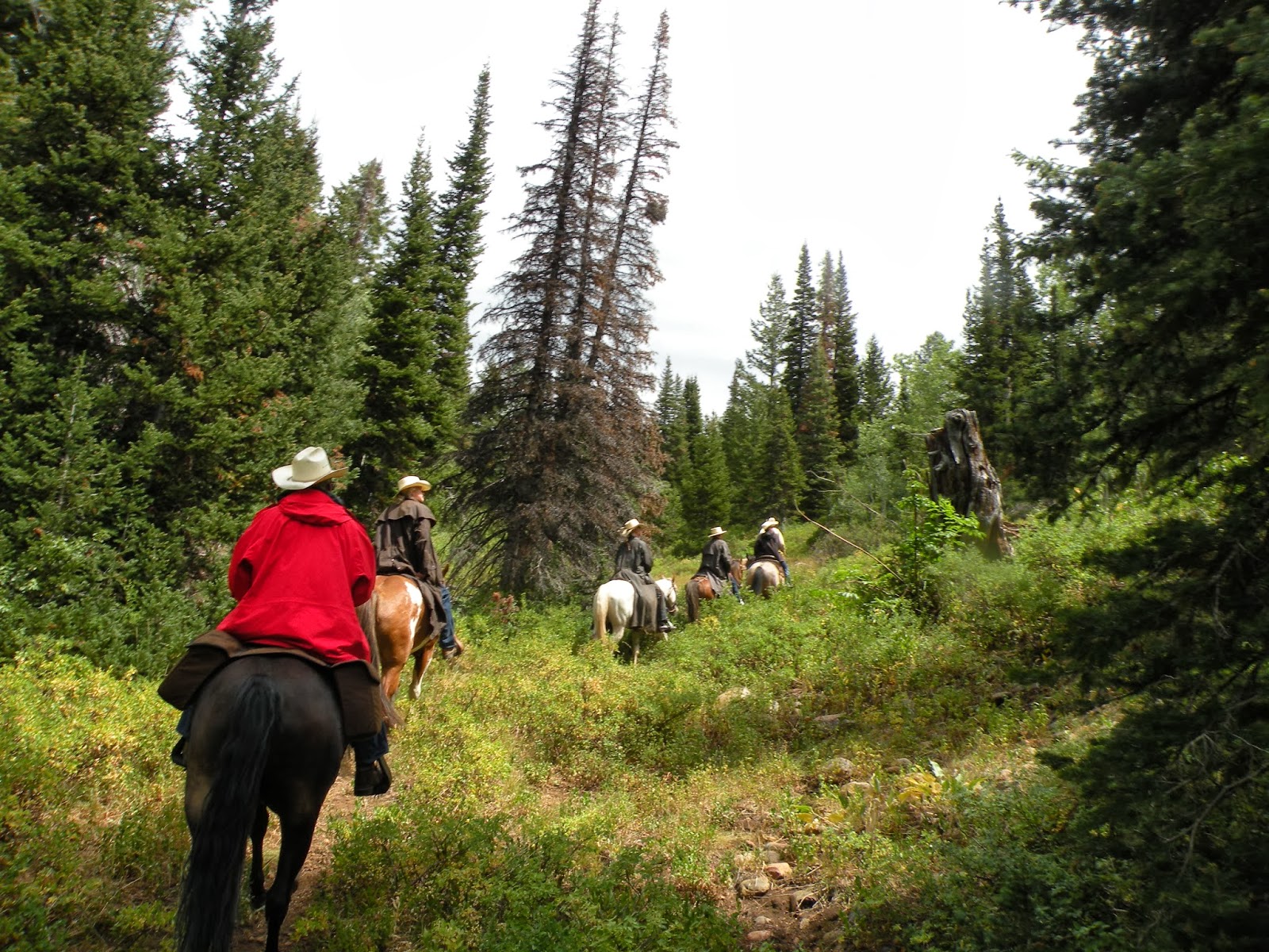 Dream Packer Trail Adventures Monte Cristo, Utah, Lightning Ridge