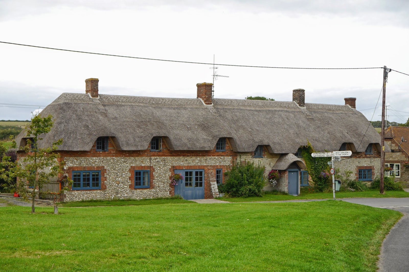 Walking in the country Chaldon Herring and White Nothe