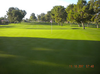 Looking at 16's Green From Behind 11-18-11