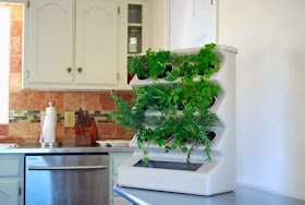 zioła w kuchni szafki kuchenne