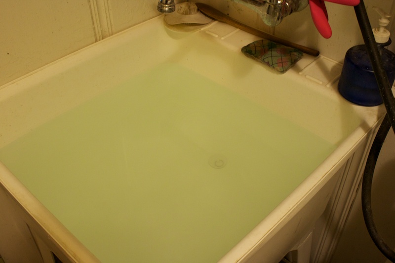 Washing Alpaca Fleeces the Easy Way Laughing coyote...