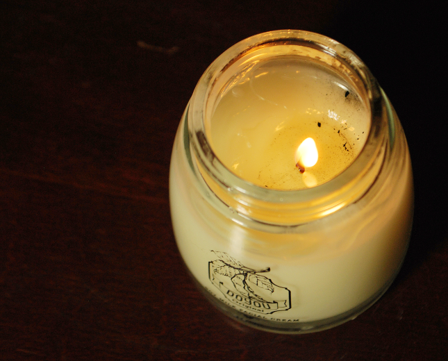 Primary Raw DIY Soy Candle Review Gloriaus Days