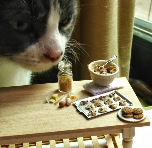 01-Cat-with-Chocolate-Chip-Cookie-Prep-Small-Miniature-Food-Doll-Houses-Kim-Fairchildart-www-designstack-co