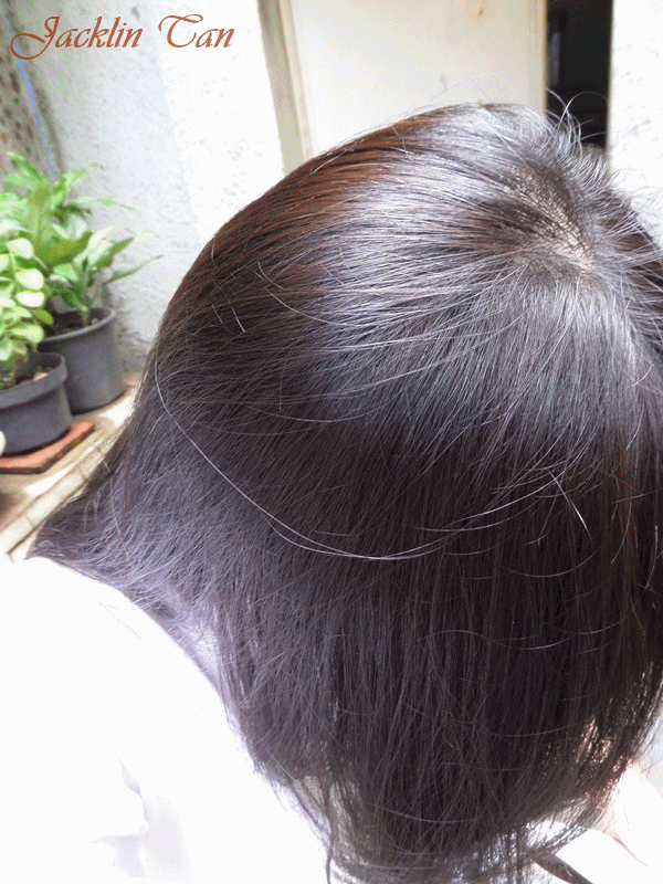 Omeuraisu Review Revlon Color Silk 31 Dark Auburn Hair Dye