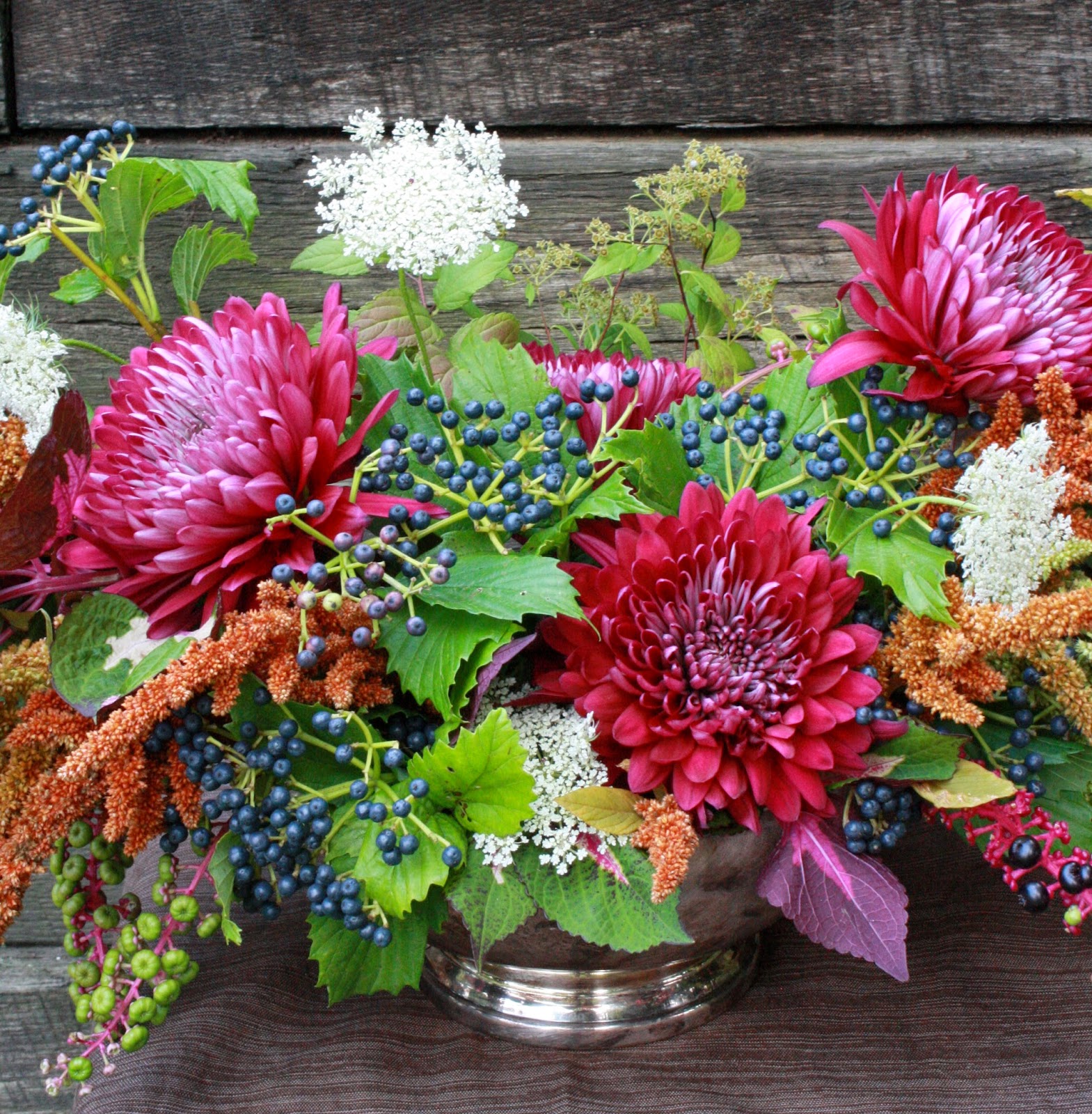 Scope for Imagination Could be my last flower post for awhile...